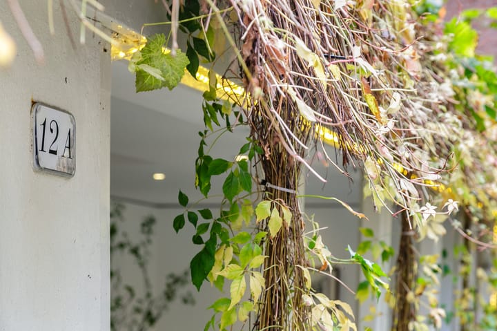 Foto 6 van Korte Koningsstraat 14-H