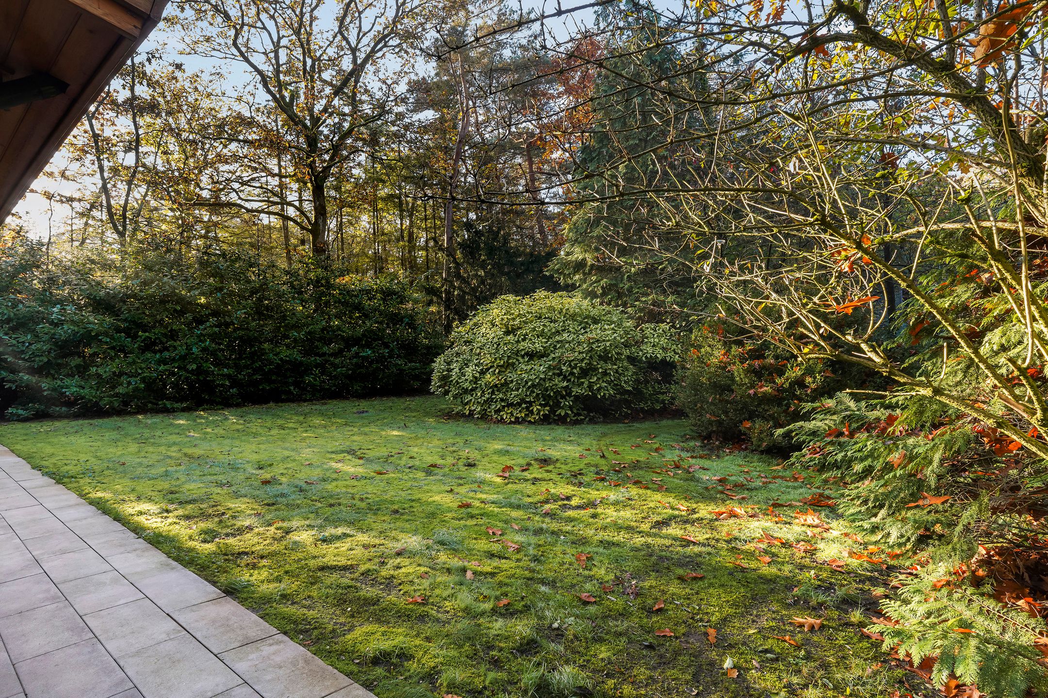 Foto 6 van Oude Rielsebaan 43