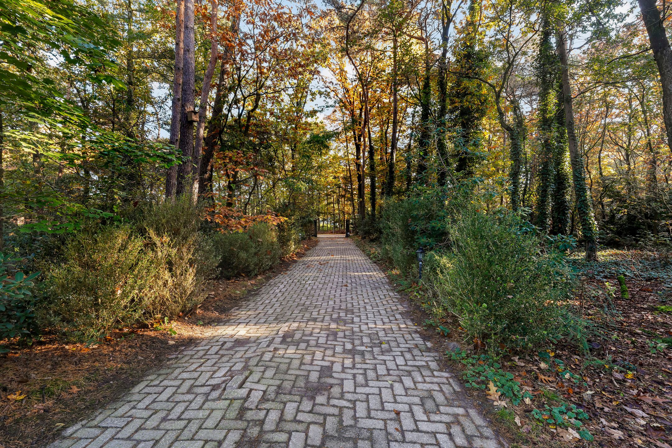 Foto 33 van Oude Rielsebaan 43