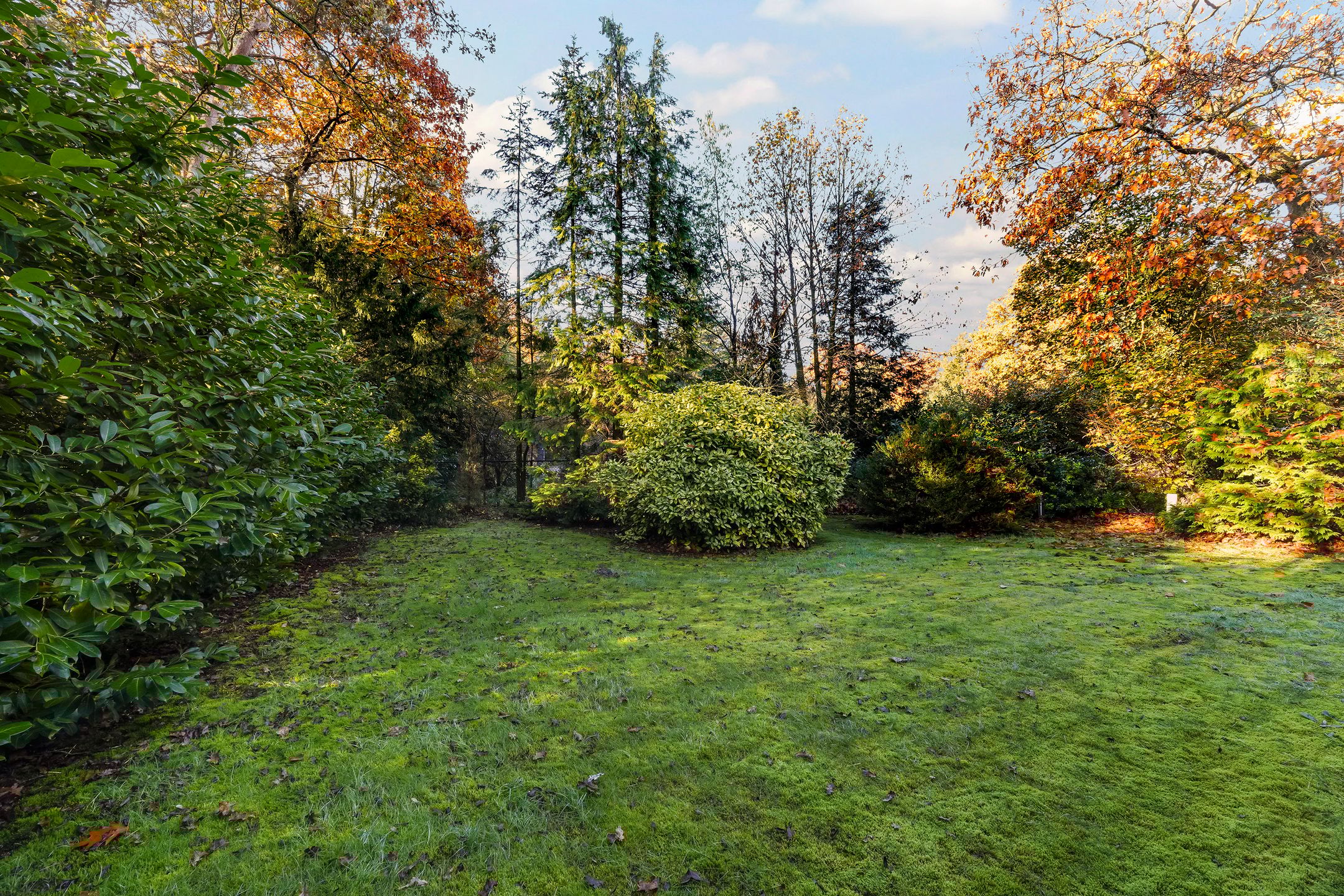 Foto 39 van Oude Rielsebaan 43