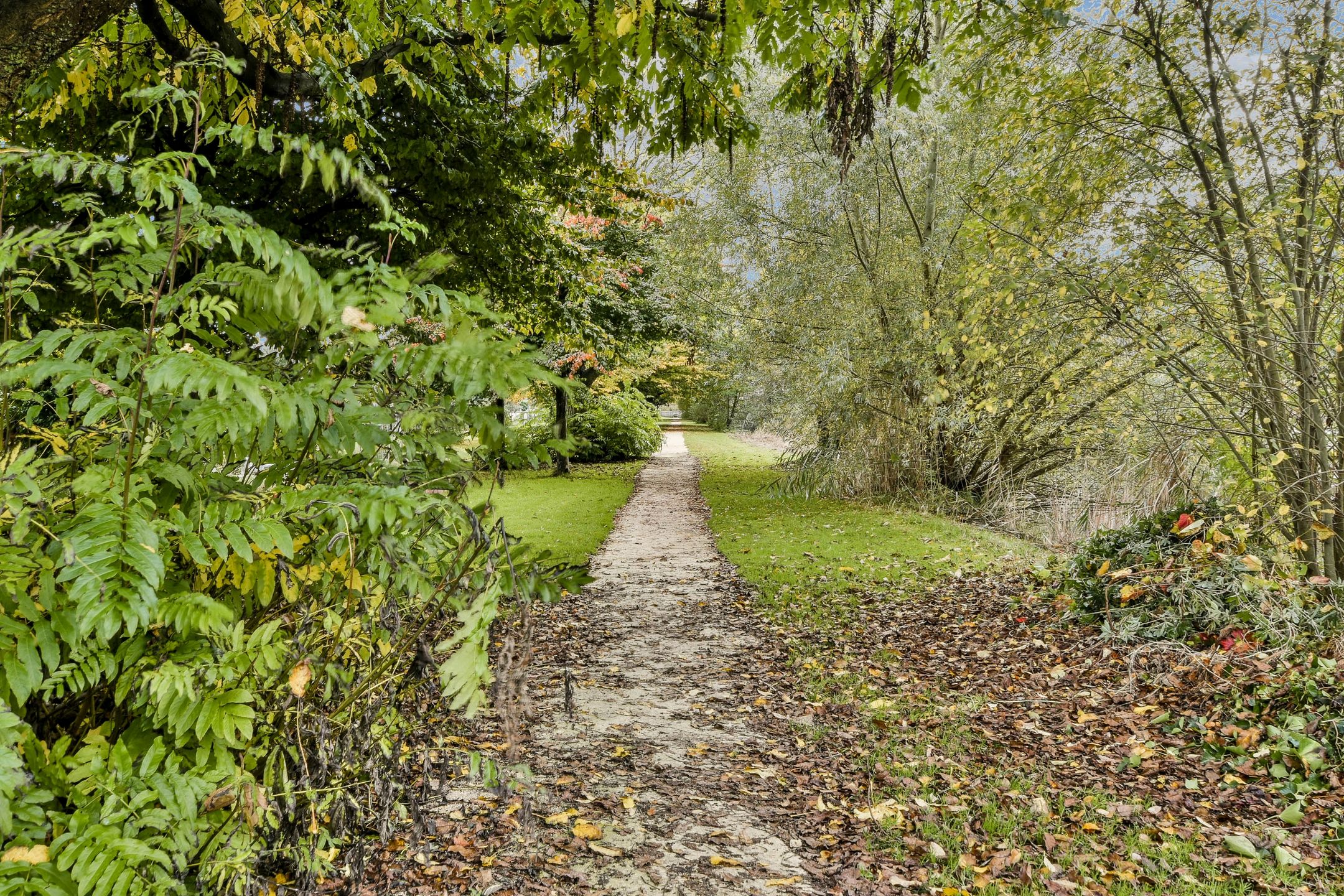 Foto 42 van Willebroekstraat 27