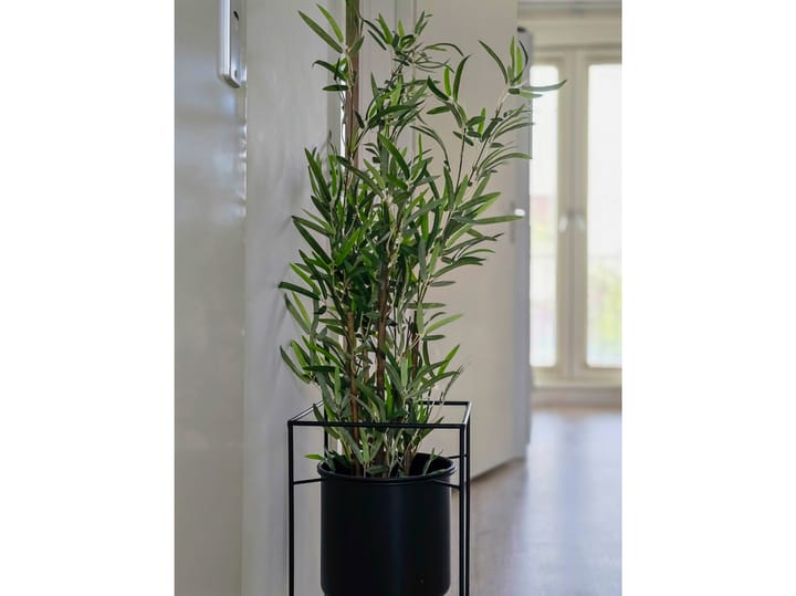 Photo 46 of Windestraat 21