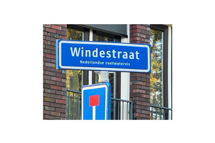 Bekijk foto 3 van Windestraat 21