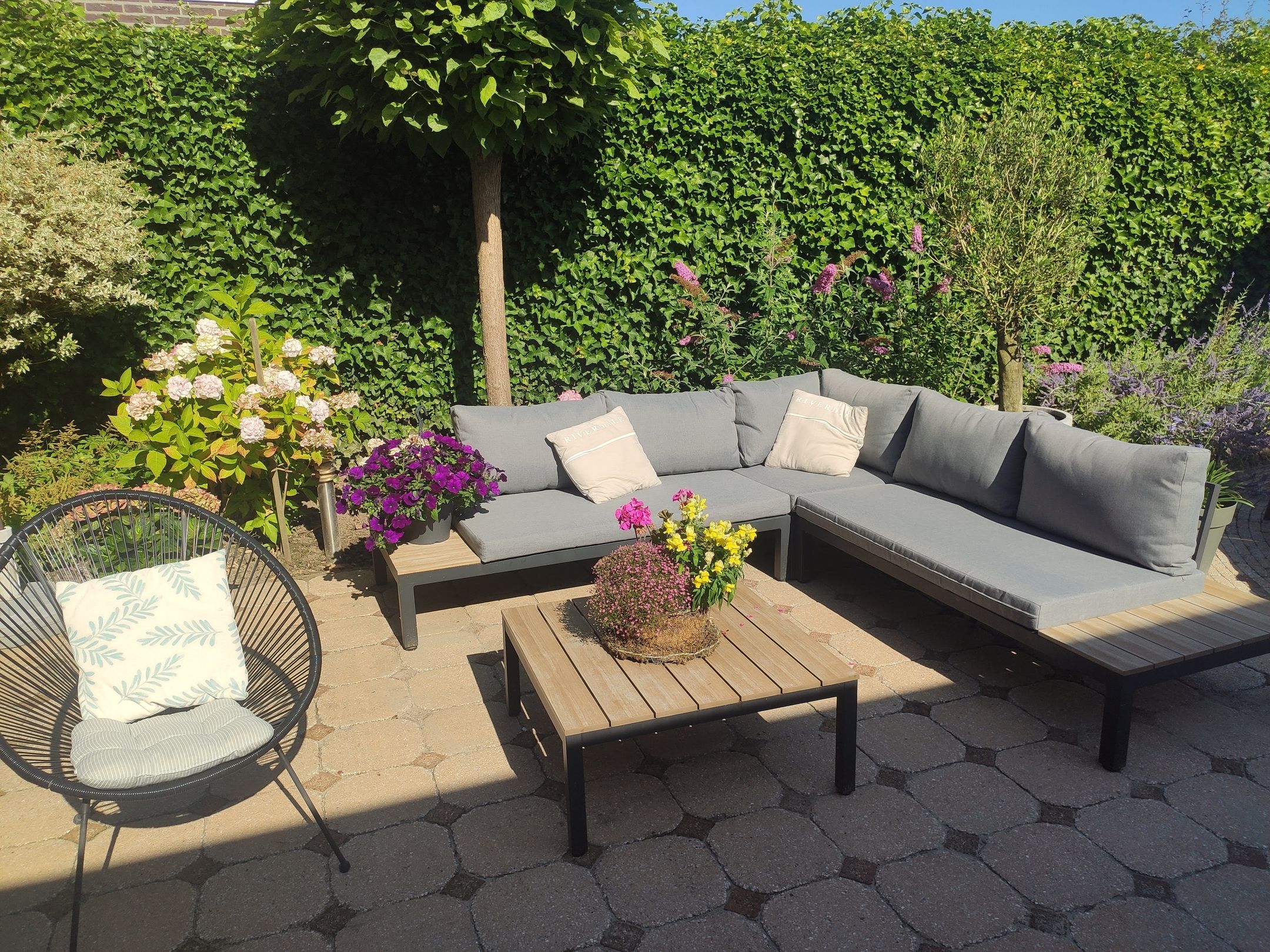 Foto 33 van Crispijn 36