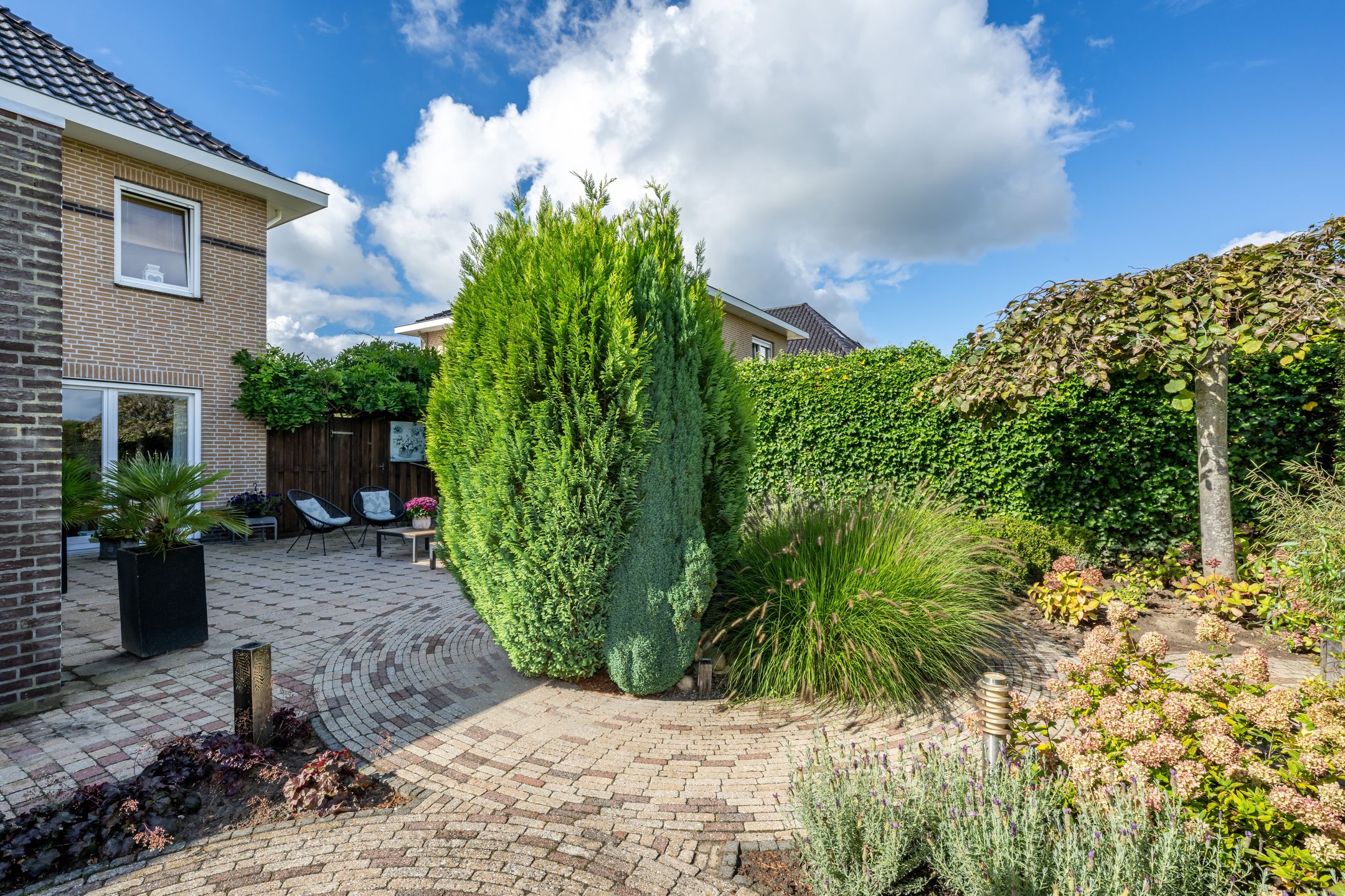 Foto 36 van Crispijn 36