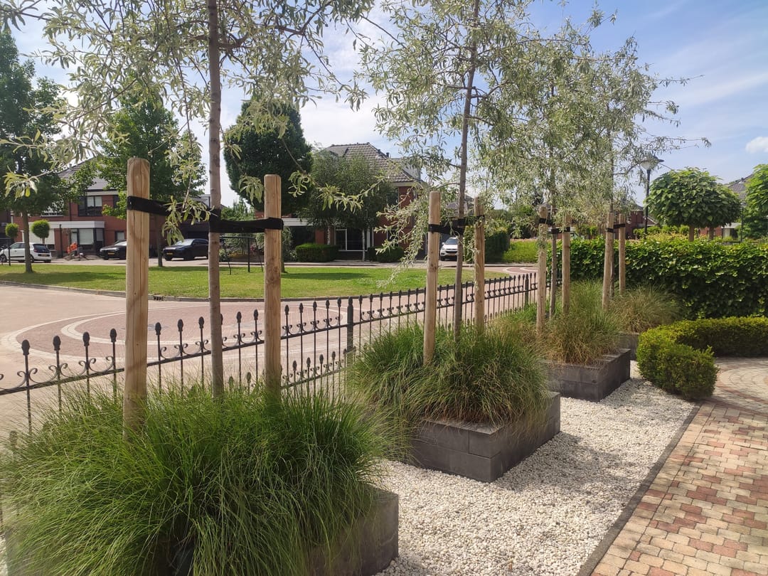 Foto 41 van Crispijn 36