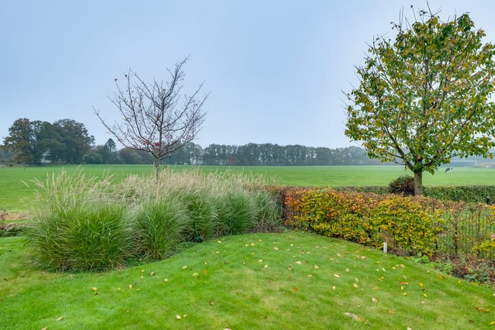 Foto 4 van Het Schoneveld 28