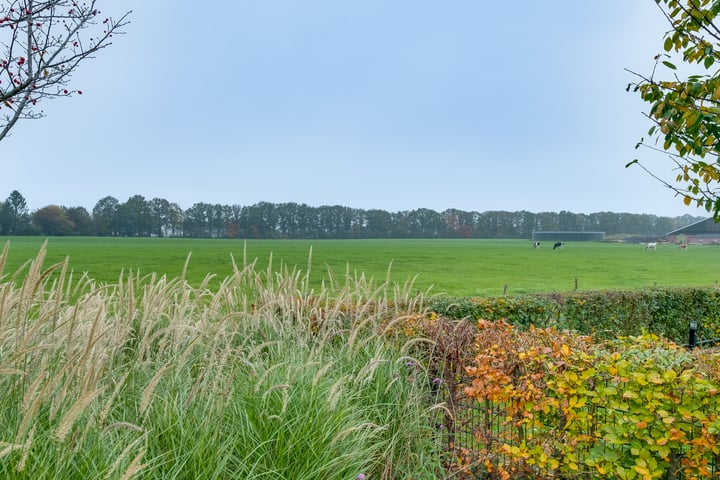 Bekijk foto 63 van Het Schoneveld 28