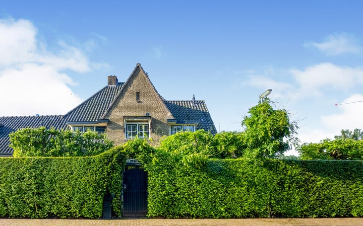 Foto 2 van Molenaar 23