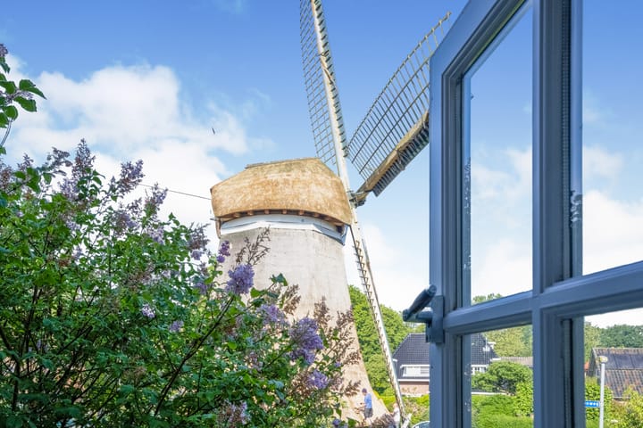 Foto 22 van Molenaar 23