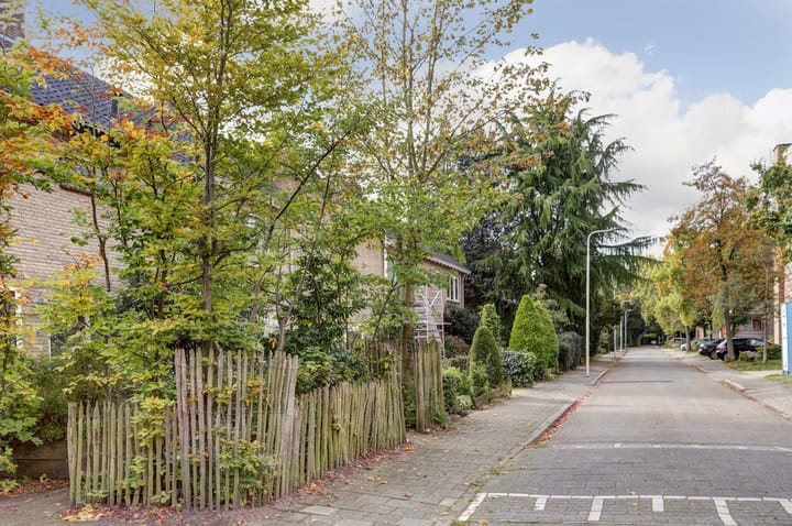 Foto 43 van Sitiolaan 22