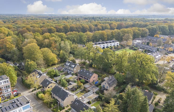 Foto 47 van Sitiolaan 22