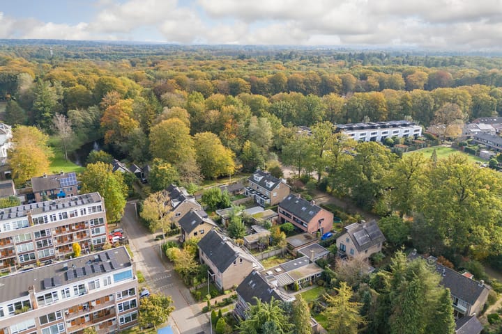 Foto 49 van Sitiolaan 22