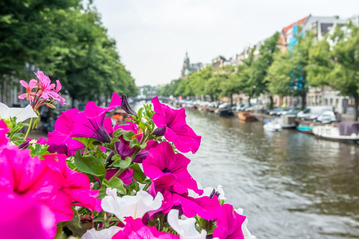 Bekijk foto 22 van Keizersgracht 523-2