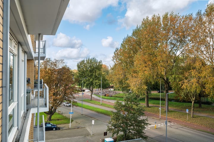 Photo 26 of Kralingseweg 59