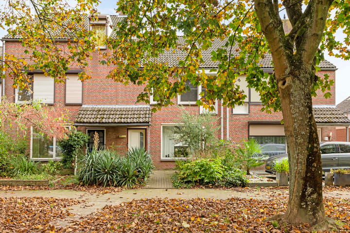 Foto 2 van Appiushof 127