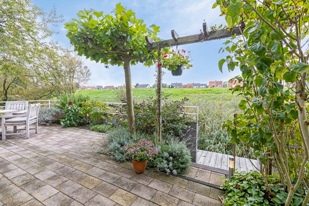 Foto 8 van Pyreneeën 1