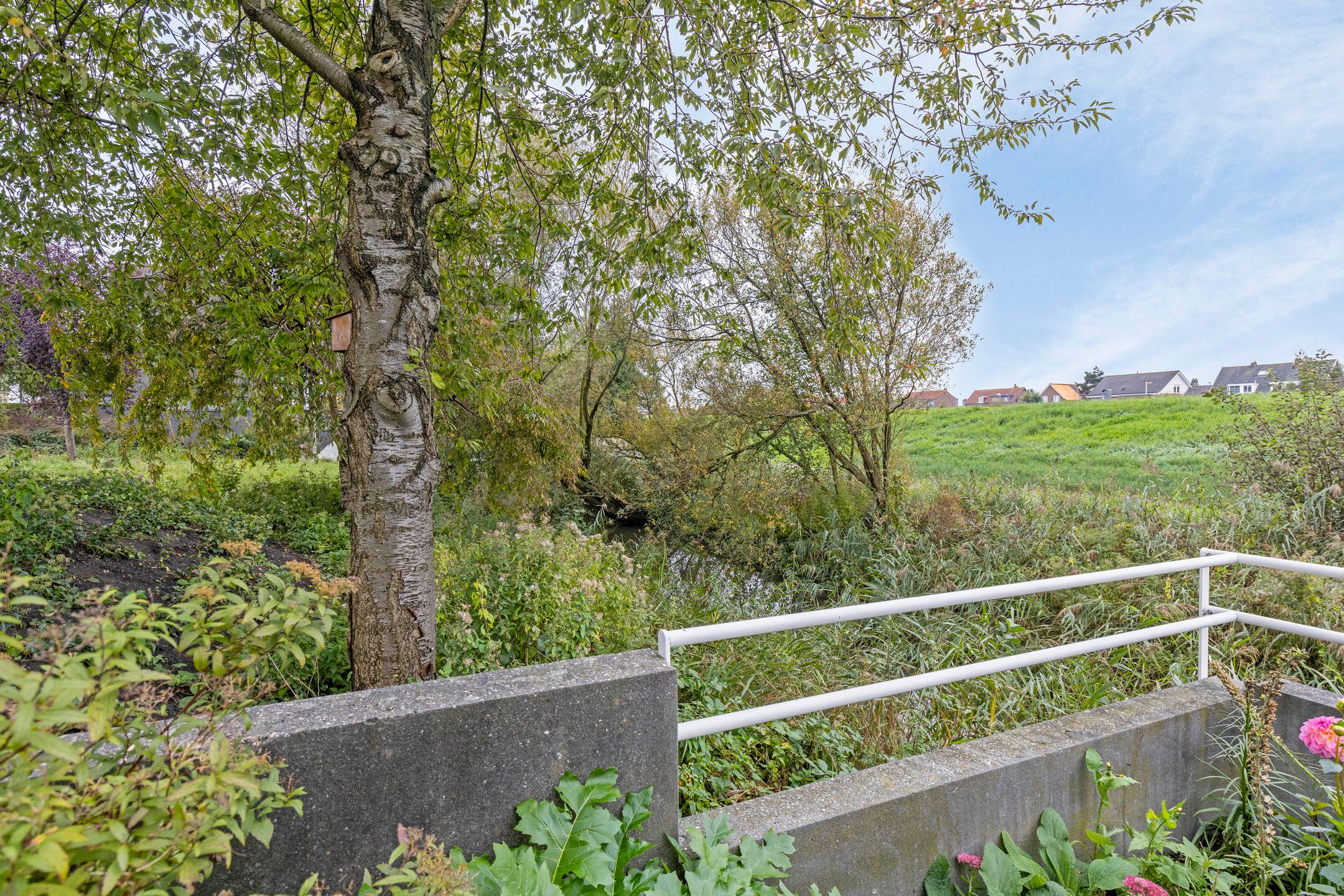 Foto 9 van Pyreneeën 1