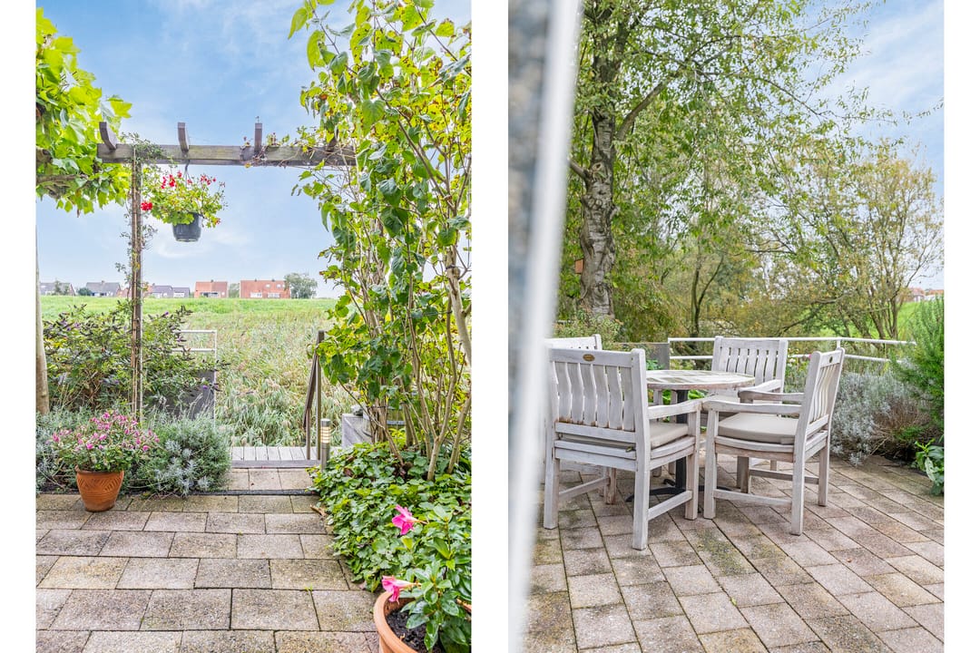 Foto 11 van Pyreneeën 1