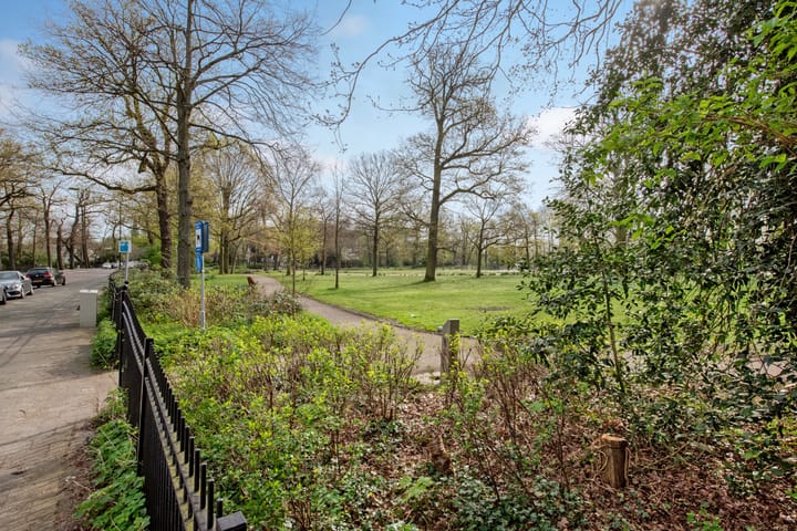 Foto 35 van Raadhuisstraat 13