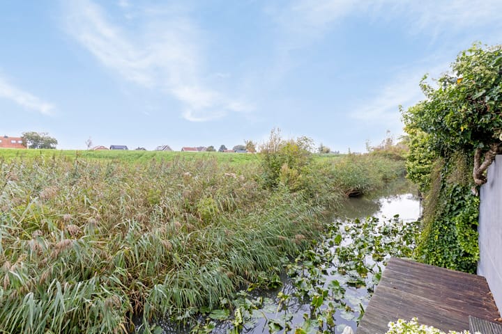 Foto 12 van Pyreneeën 1