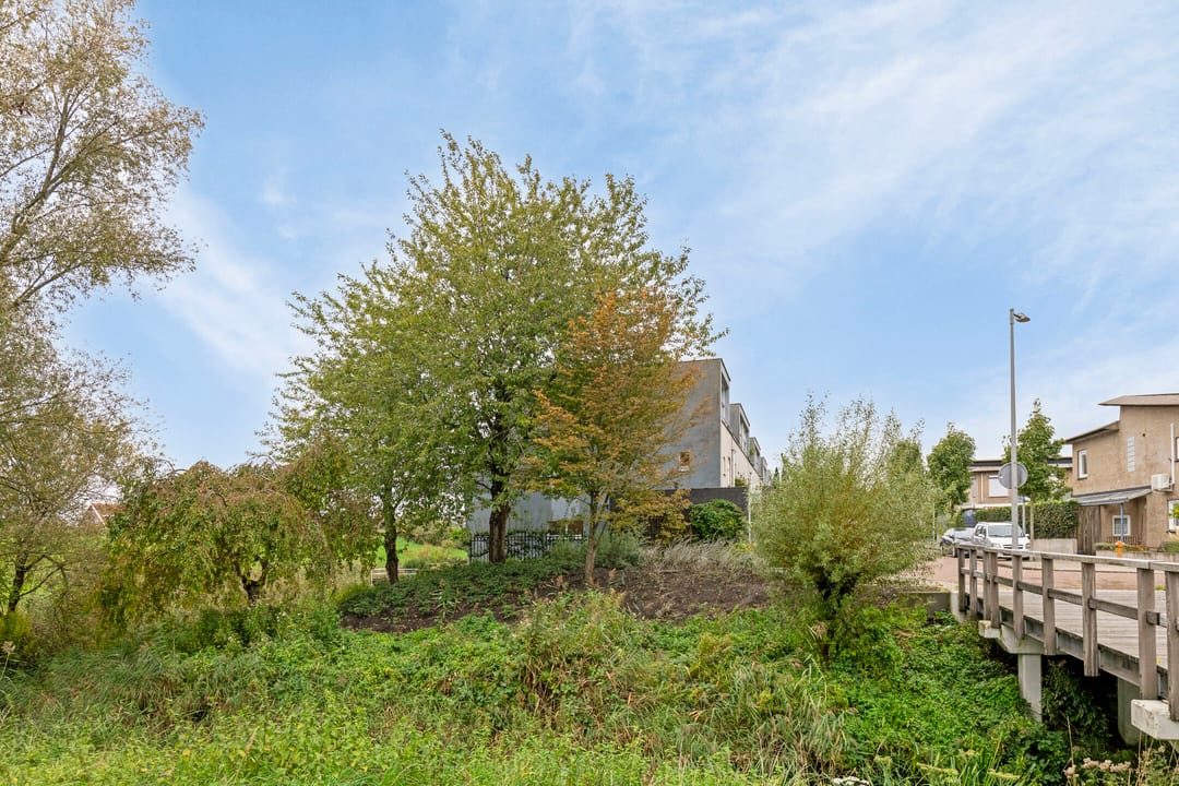 Foto 37 van Pyreneeën 1