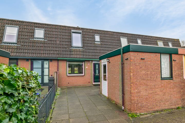 Foto 2 van Pluimgras 15