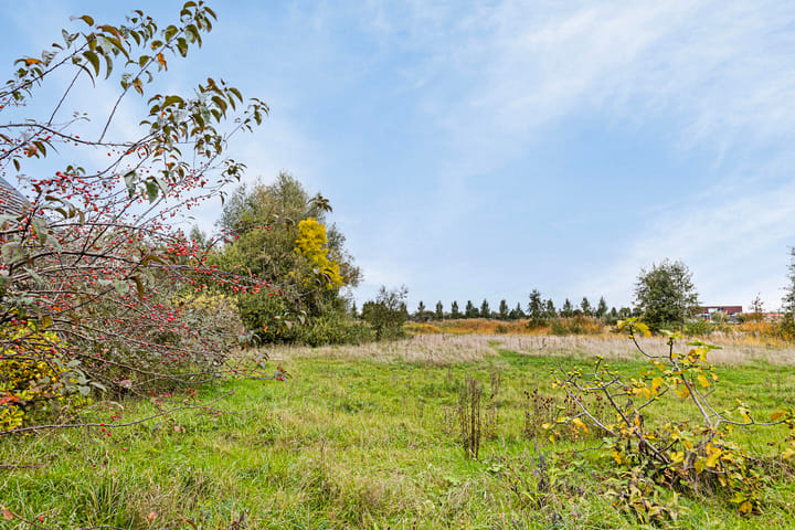 Foto 54 van Krangstraat 2-A