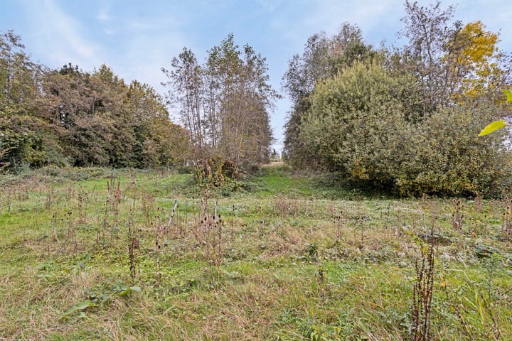 Foto 55 van Krangstraat 2-A