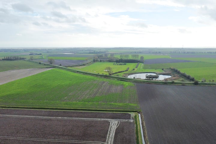 Bekijk foto 94 van Zuiddijk 14