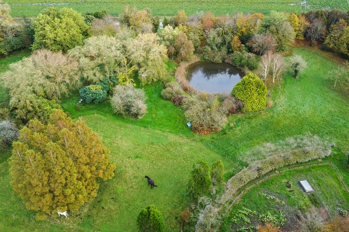 Bekijk foto 103 van Zuiddijk 14