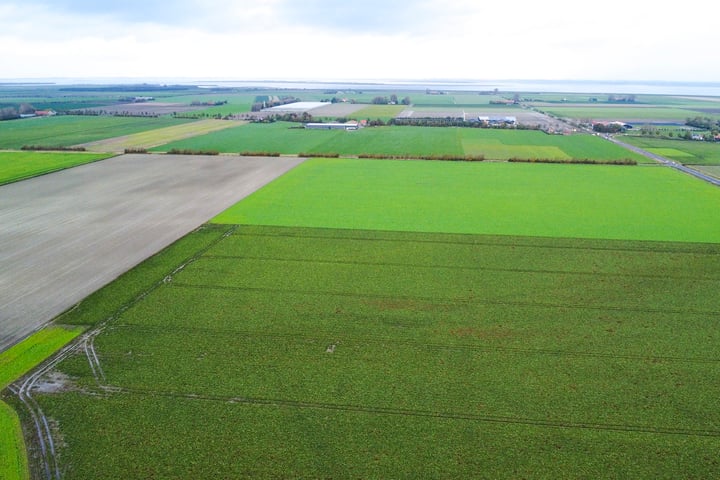 Bekijk foto 115 van Zuiddijk 14