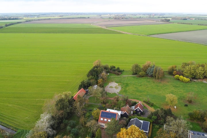 Bekijk foto 120 van Zuiddijk 14