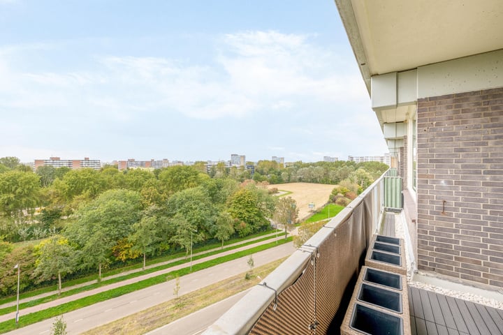 Bekijk foto 4 van Stadhoudersring 710