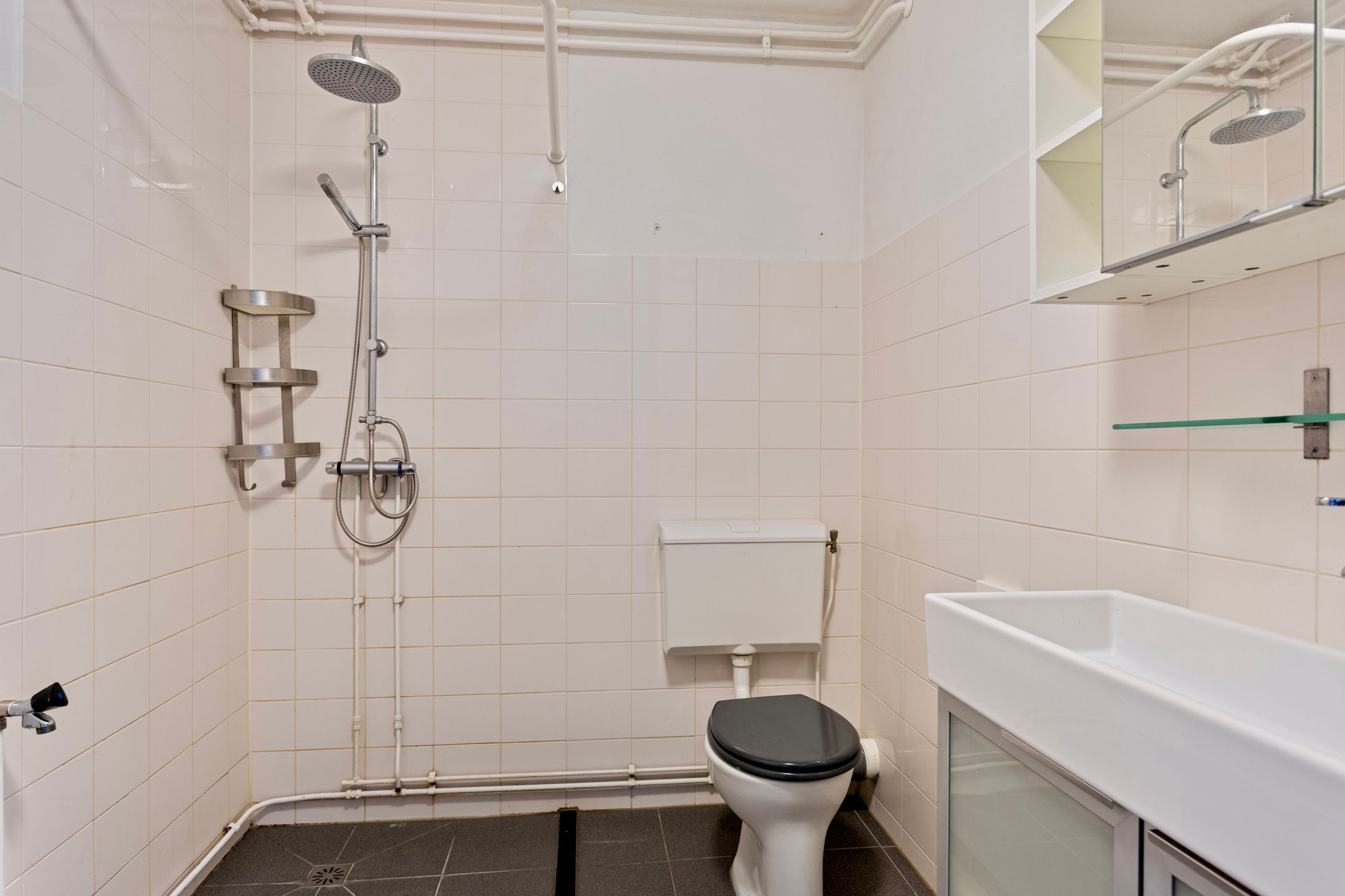 Foto 12 van Aggemastate 208