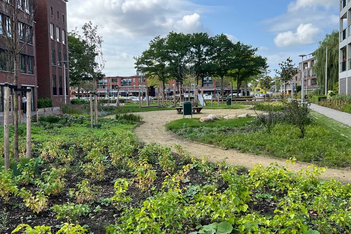 Bekijk foto 3 van Jan van der Heydenstraat 23