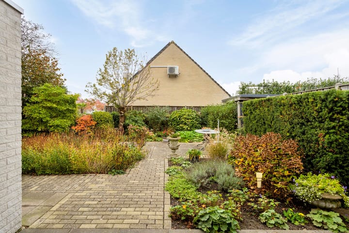 Foto 3 van Terschelling 20