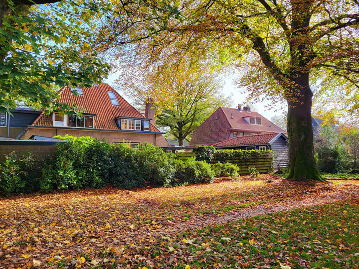 Foto 59 van Laan van Avegoor 17