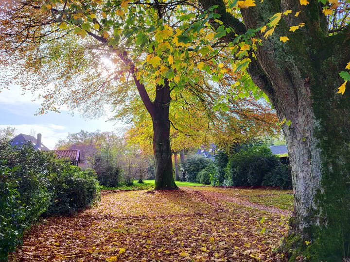 Foto 60 van Laan van Avegoor 17