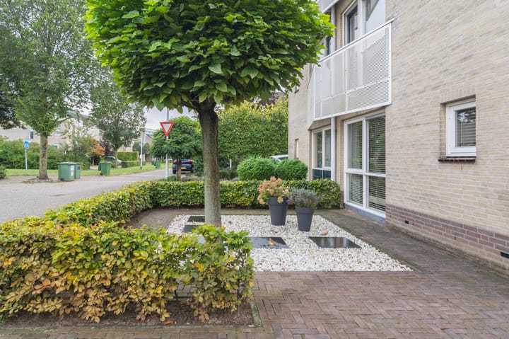 Foto 42 van Lavendelberg 43