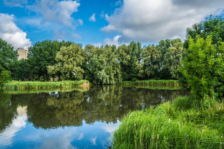 Bekijk foto 39 van Watermolen 123