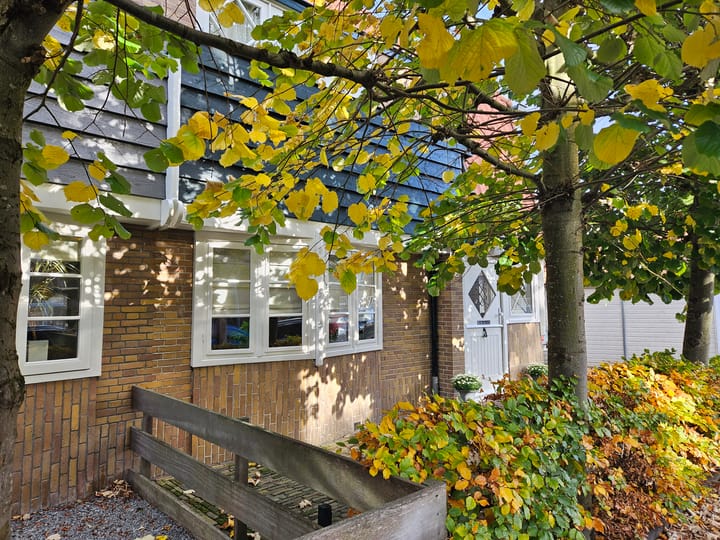 Foto 7 van Terrasweg 38