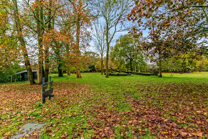 Foto 43 van Terrasweg 38