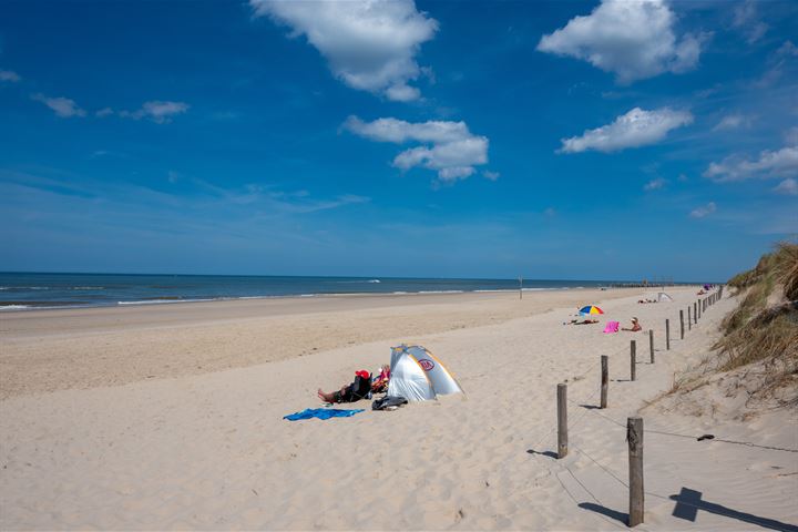 Bekijk foto 33 van Vogelzand 3225