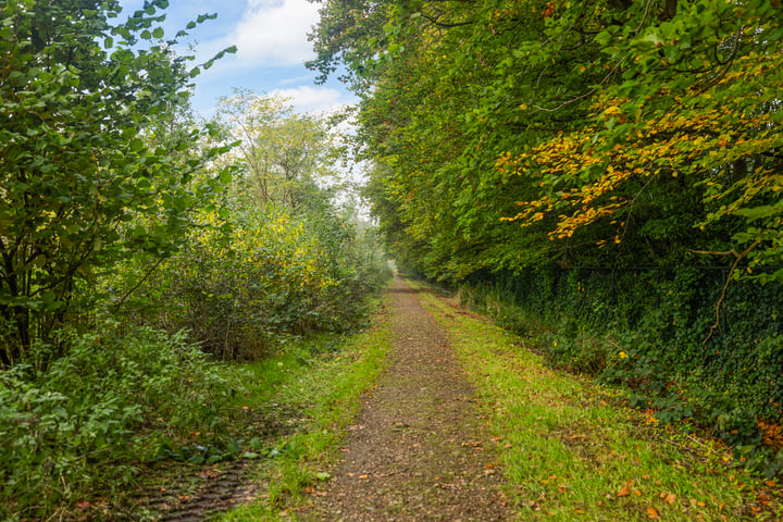 Bekijk foto 31 van Reelaan 24