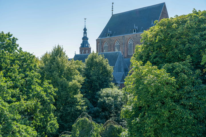 Bekijk foto 40 van Martinikerkhof 37