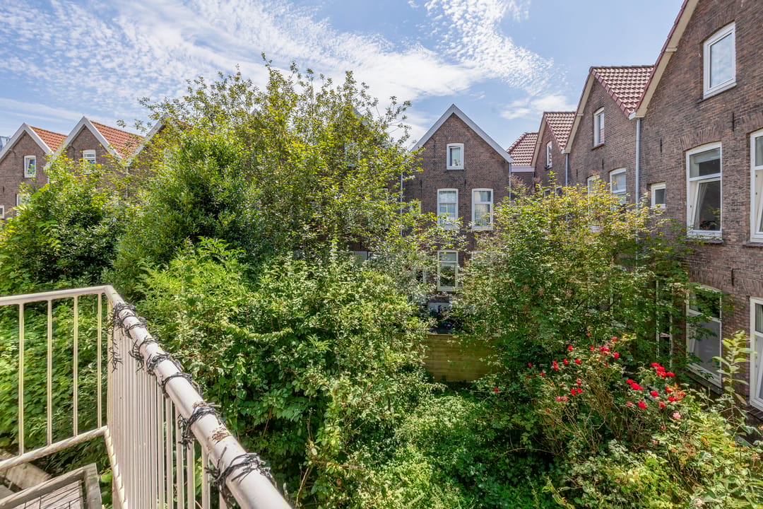 Foto 22 van Diergaardesingel 35