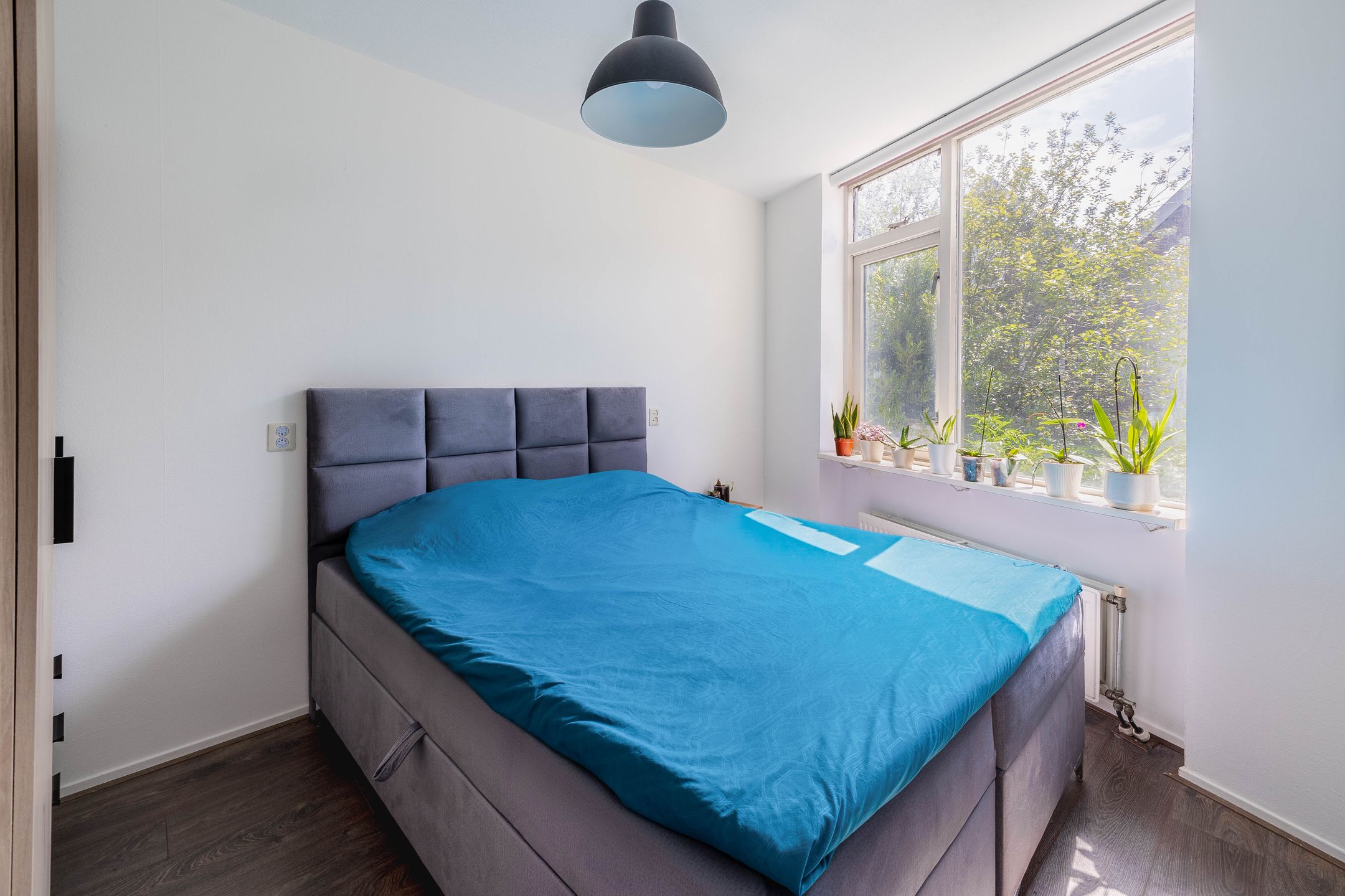 Foto 24 van Diergaardesingel 35