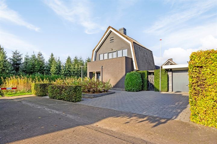 Bekijk foto 1 van Wessel Couzijnhof 41