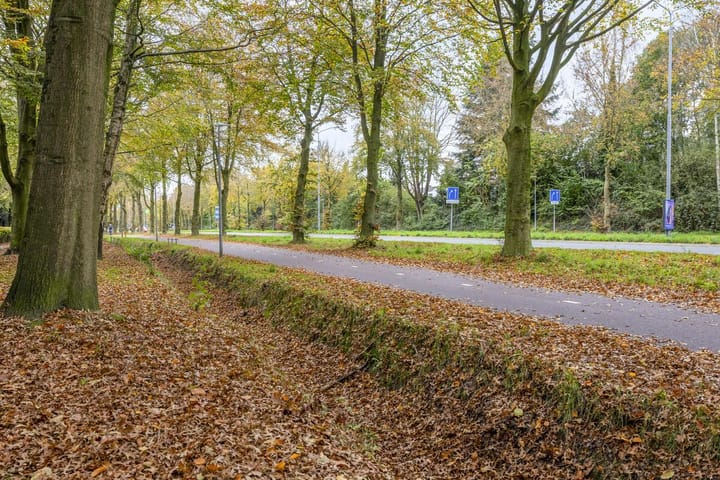 Foto 38 van Brembeek 44